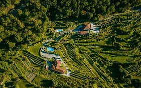 Casa Da Adega - Quinta Da Portela
